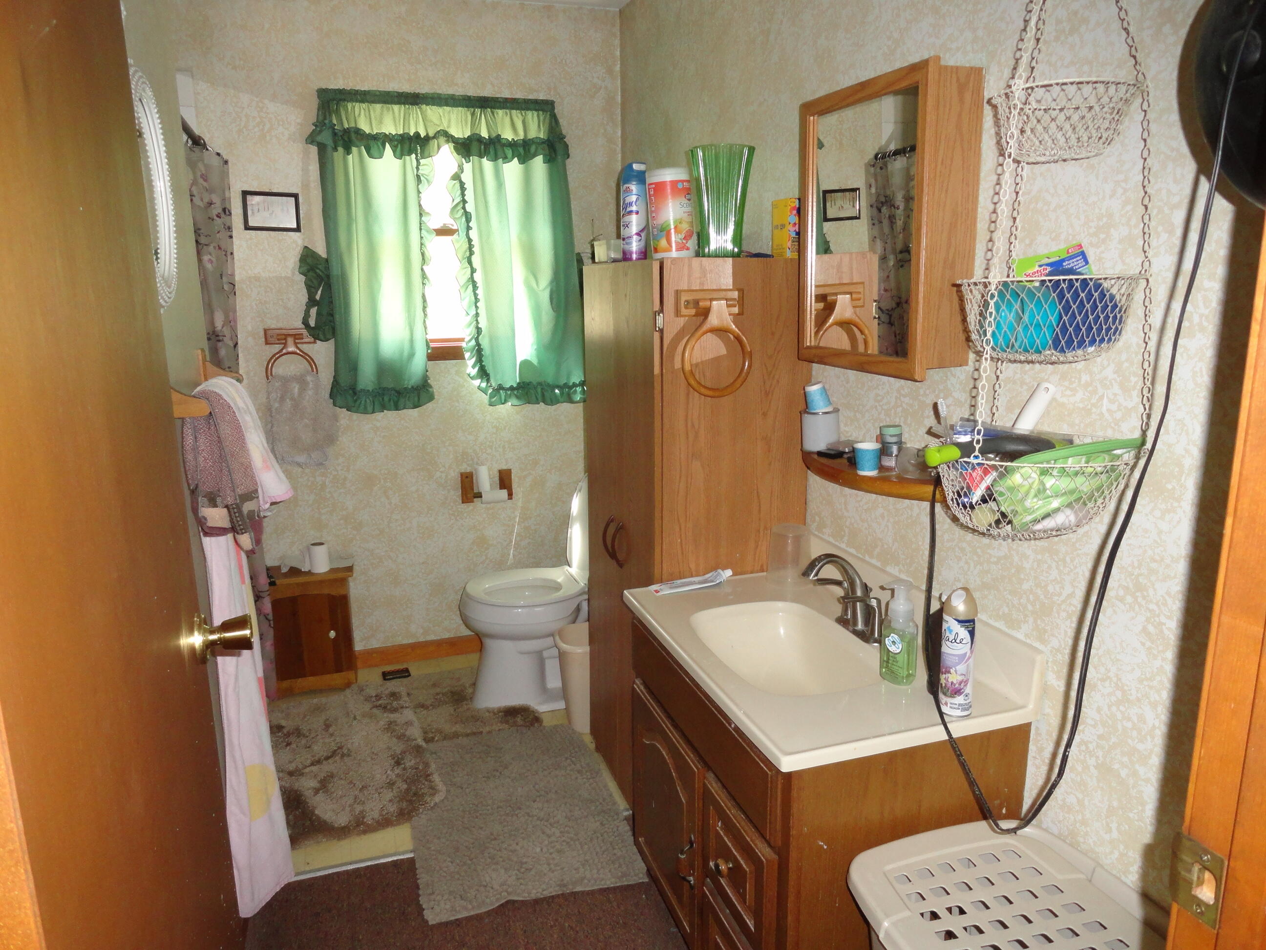 1035 Udell Hills Fire Tower Road Manistee, MI 49660 - Photo 6 of 14 4cda5be1-b344-4ddb-904d-22c7f789b213