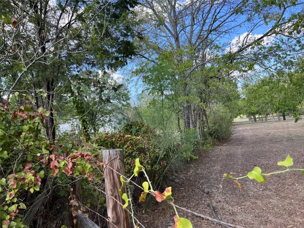 a view of a tree in front of a house