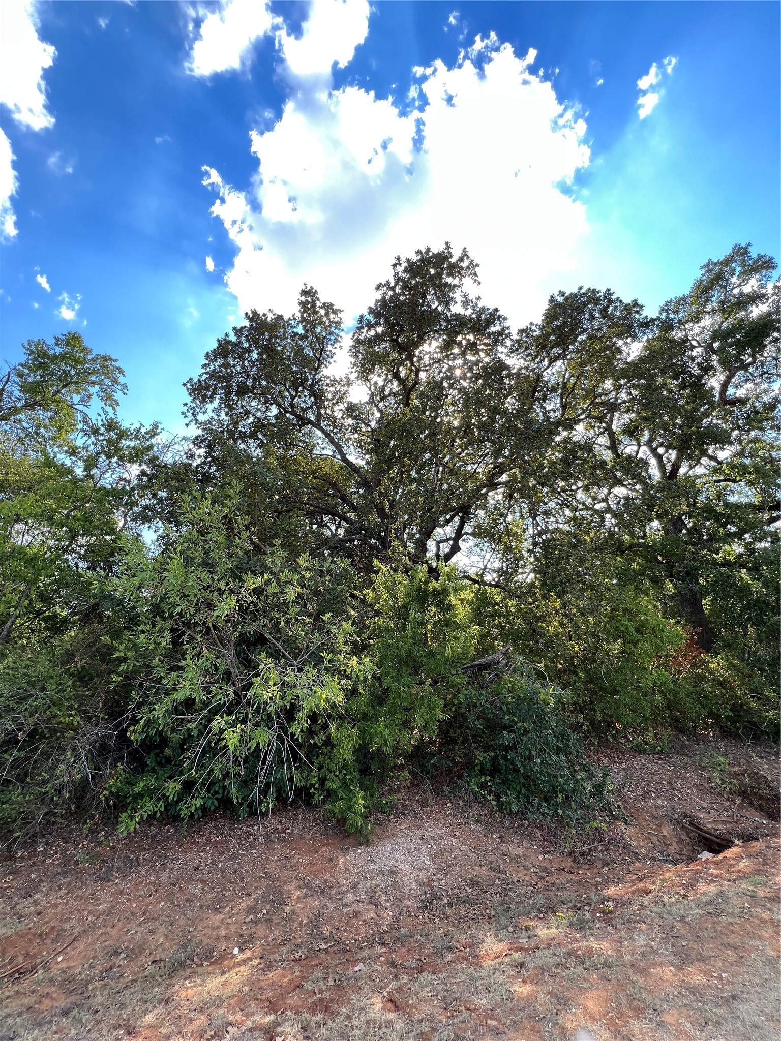529 Madison Street Elgin, TX 78621 - Photo 5 of 13 Back side view of lot