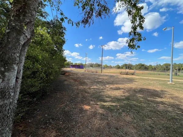 a view of a yard with a tree
