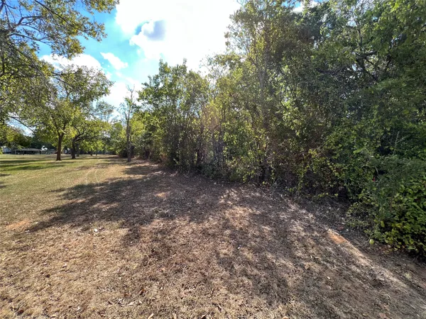 a view of a yard with plants and trees