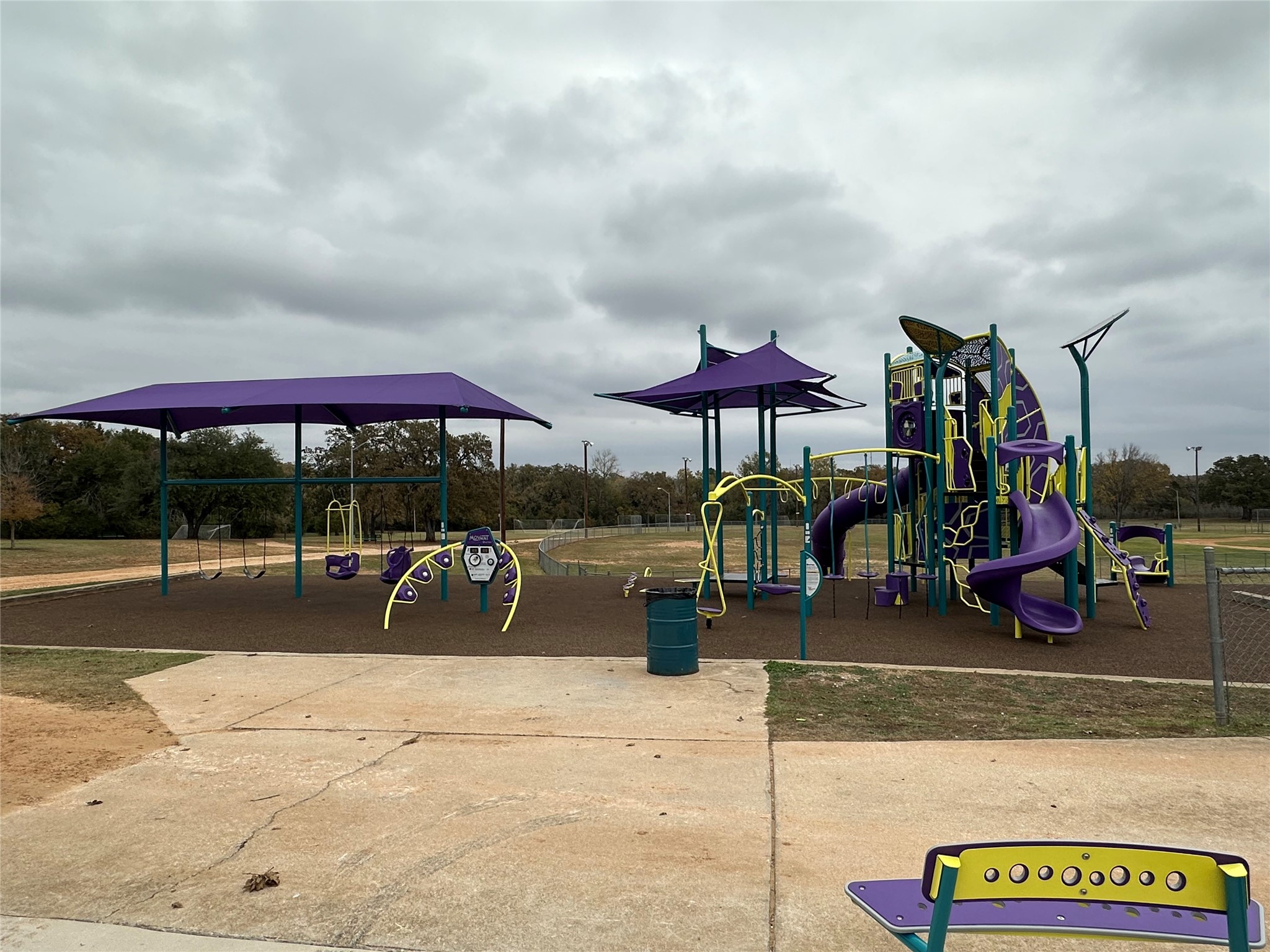 529 Madison Street Elgin, TX 78621 - Photo 8 of 13 Lot backs up to park with playscape and picnic area