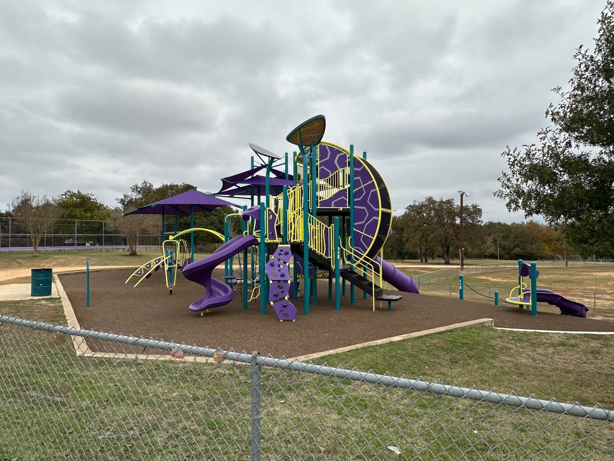 529 Madison Street Elgin, TX 78621 - Photo 9 of 13 Lot backs up to park with playscape and picnic area
