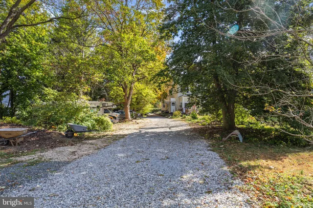 a view of a tree in the middle of a yard
