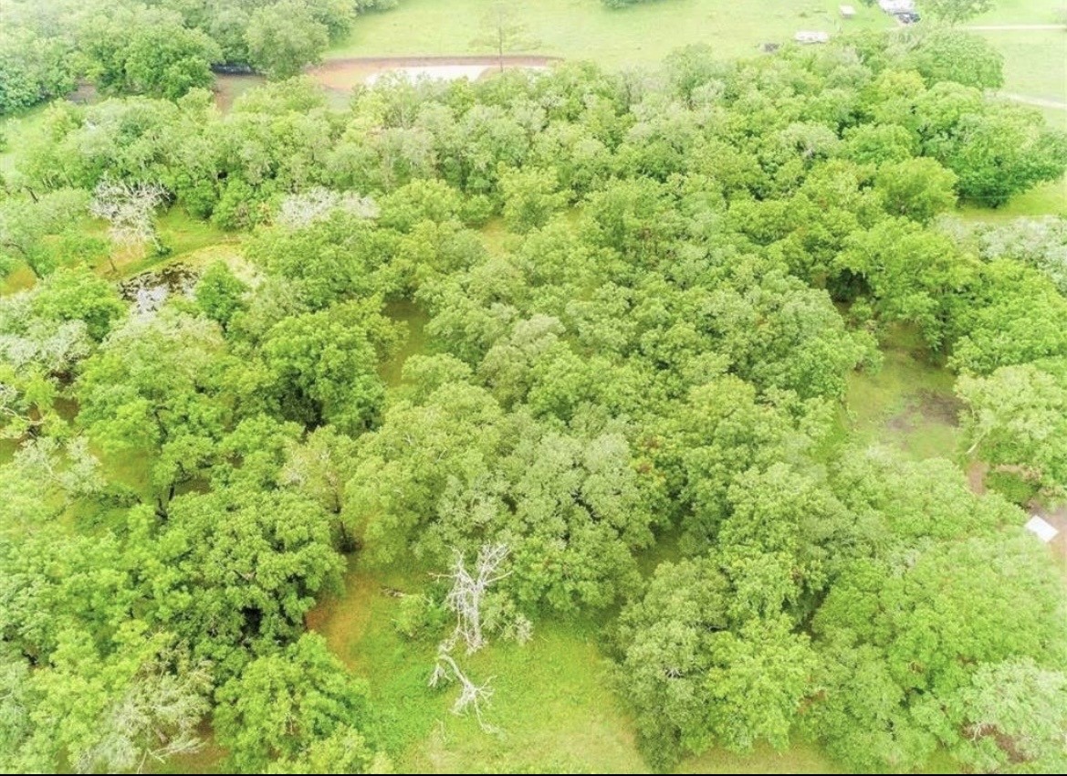 202 Jones Road Angleton, TX 77515 - Photo 11 of 13