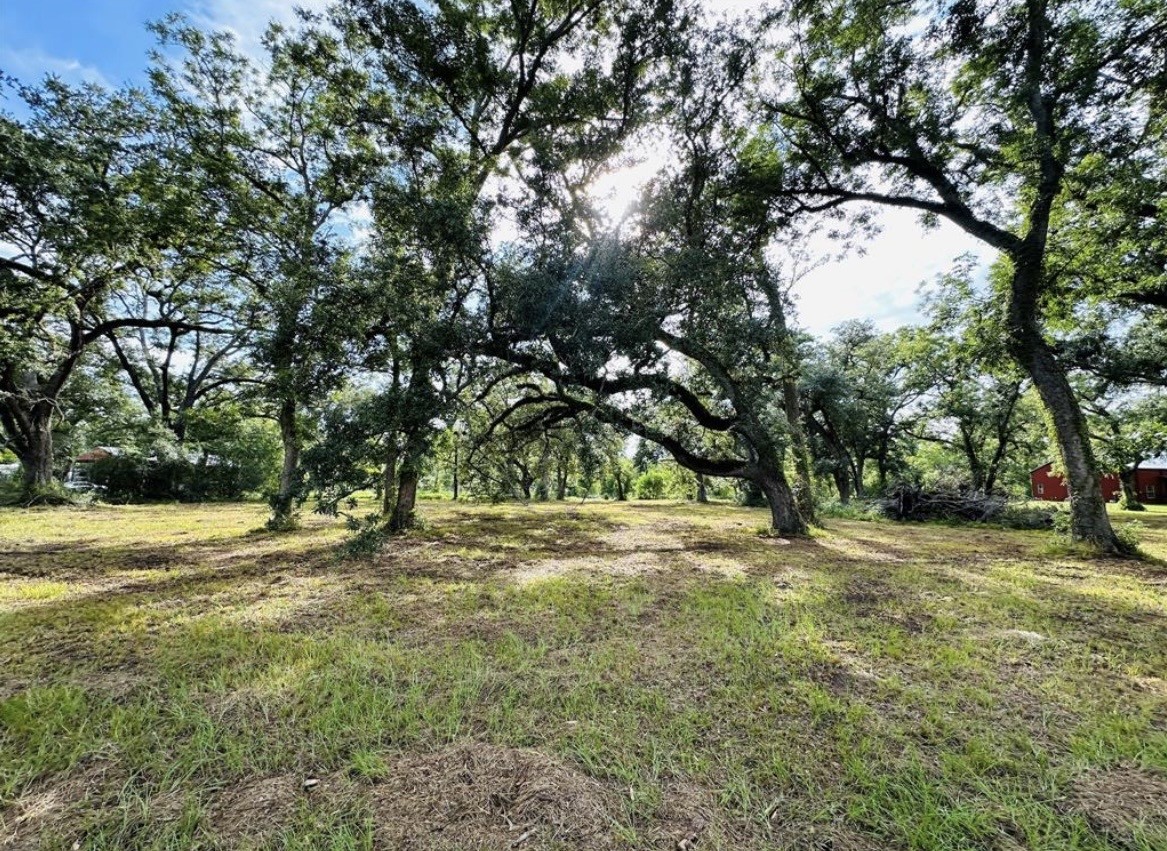 202 Jones Road Angleton, TX 77515 - Photo 2 of 13