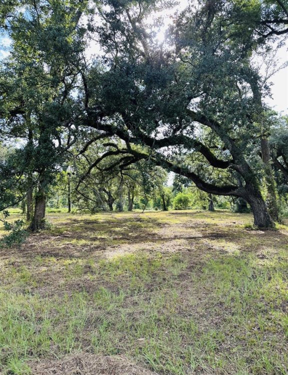 202 Jones Road Angleton, TX 77515 - Photo 3 of 13