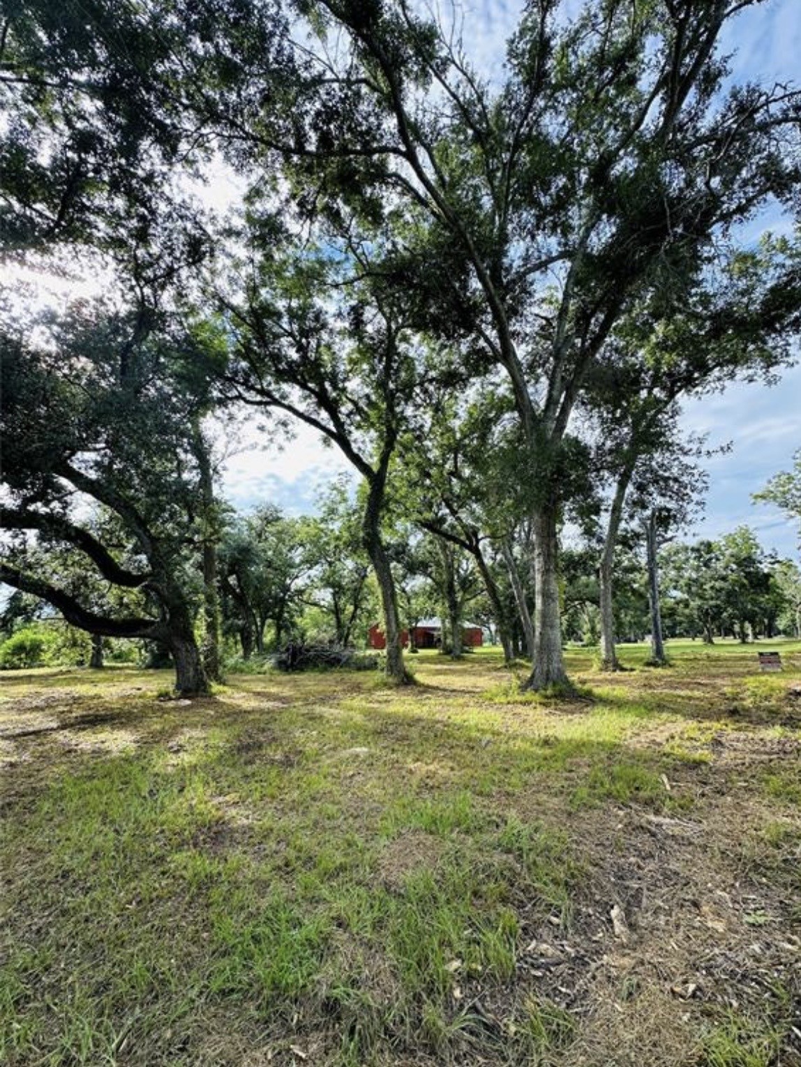 202 Jones Road Angleton, TX 77515 - Photo 4 of 13