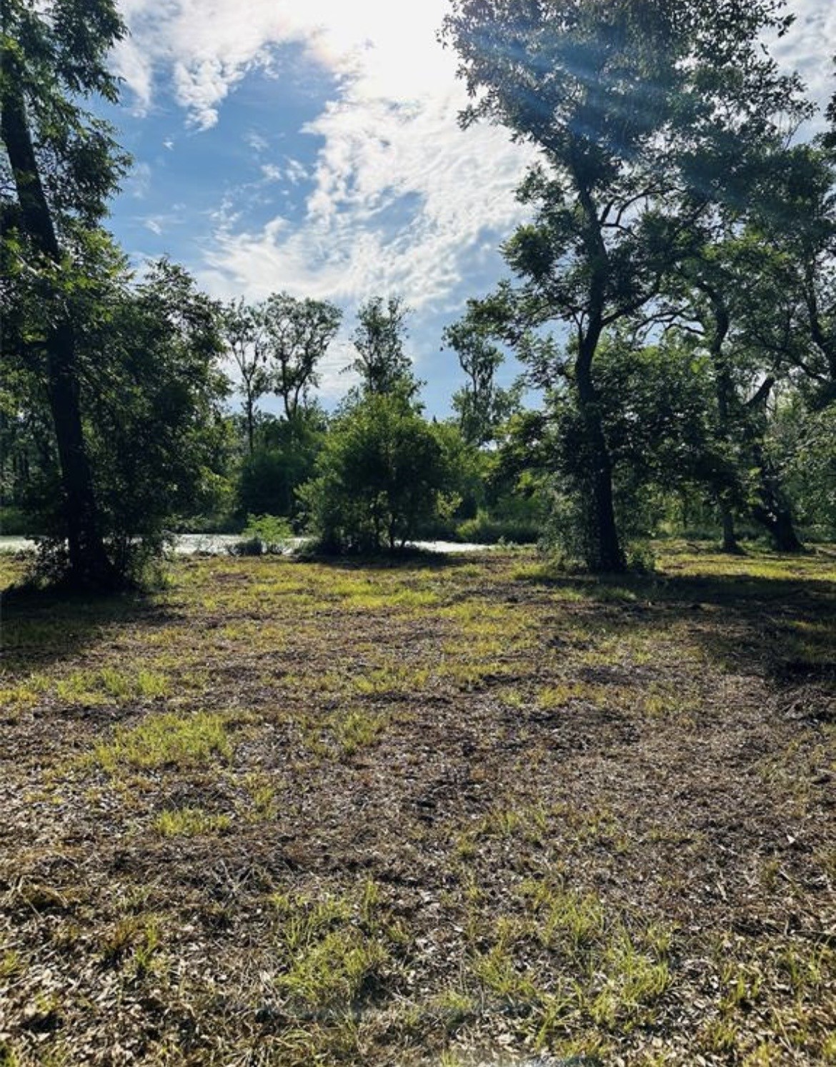 202 Jones Road Angleton, TX 77515 - Photo 6 of 13