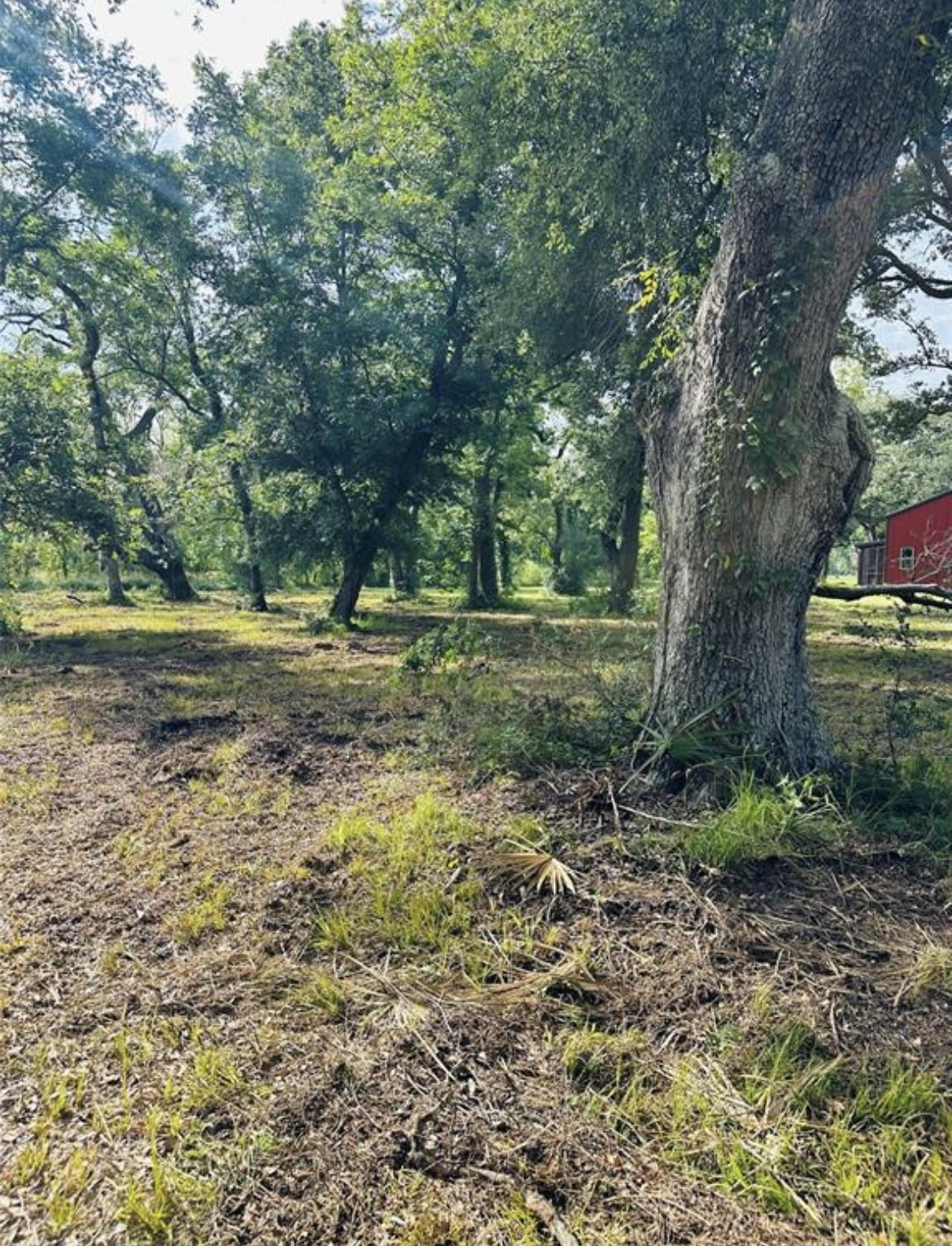 202 Jones Road Angleton, TX 77515 - Photo 9 of 13