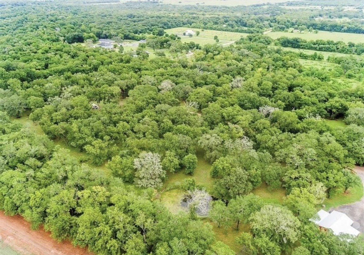 202 Jones Road Angleton, TX 77515 - Photo 10 of 13