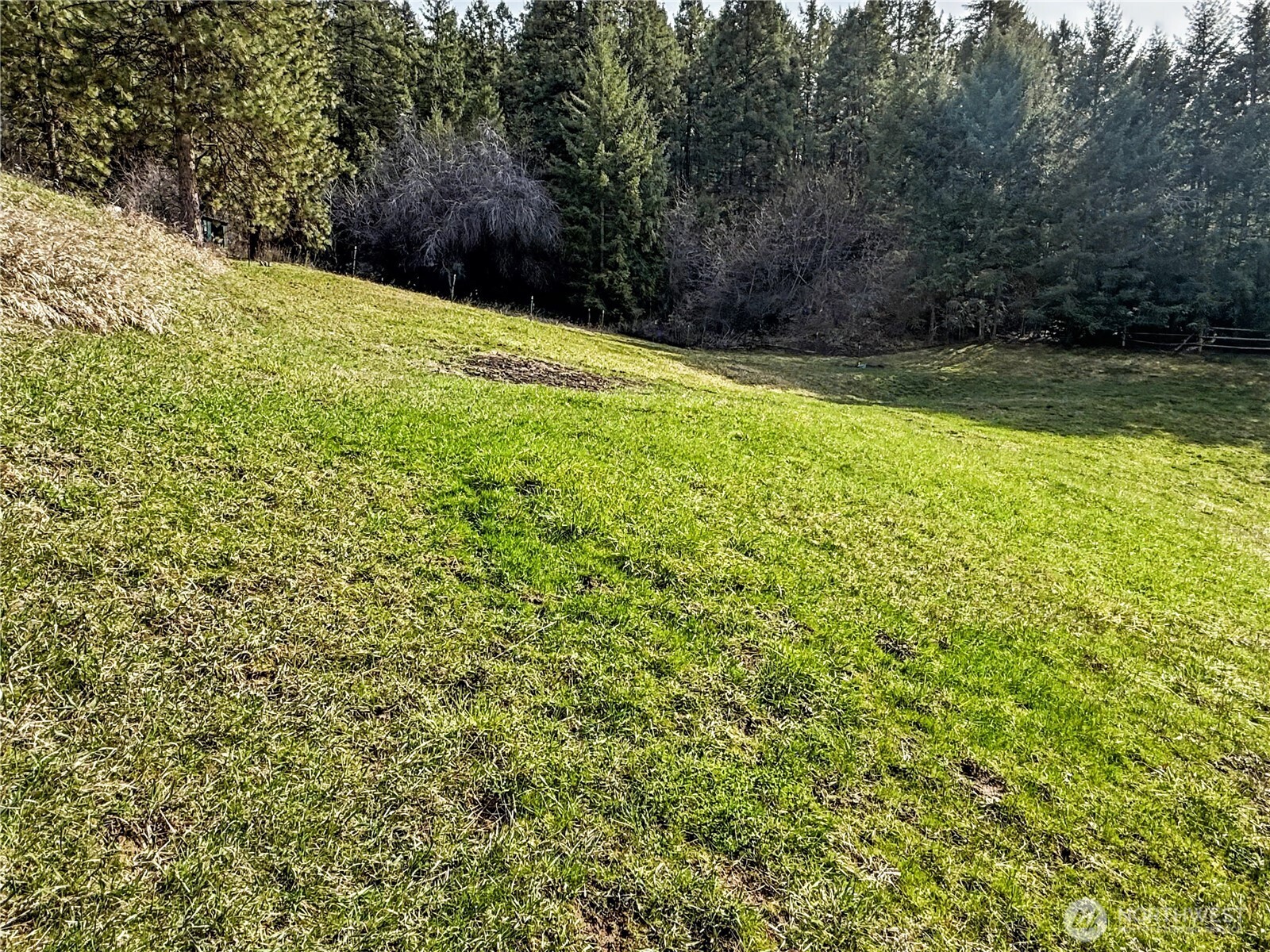 7540 Brender Canyon Road Cashmere, WA 98815 - Photo 26 of 39