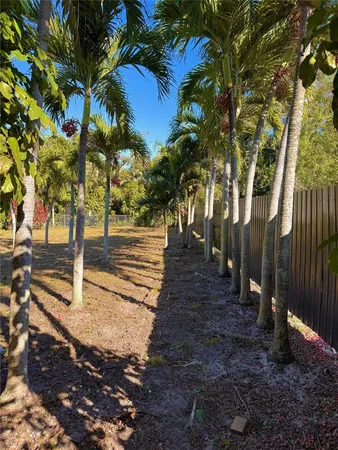 a view of a yard with plants and trees
