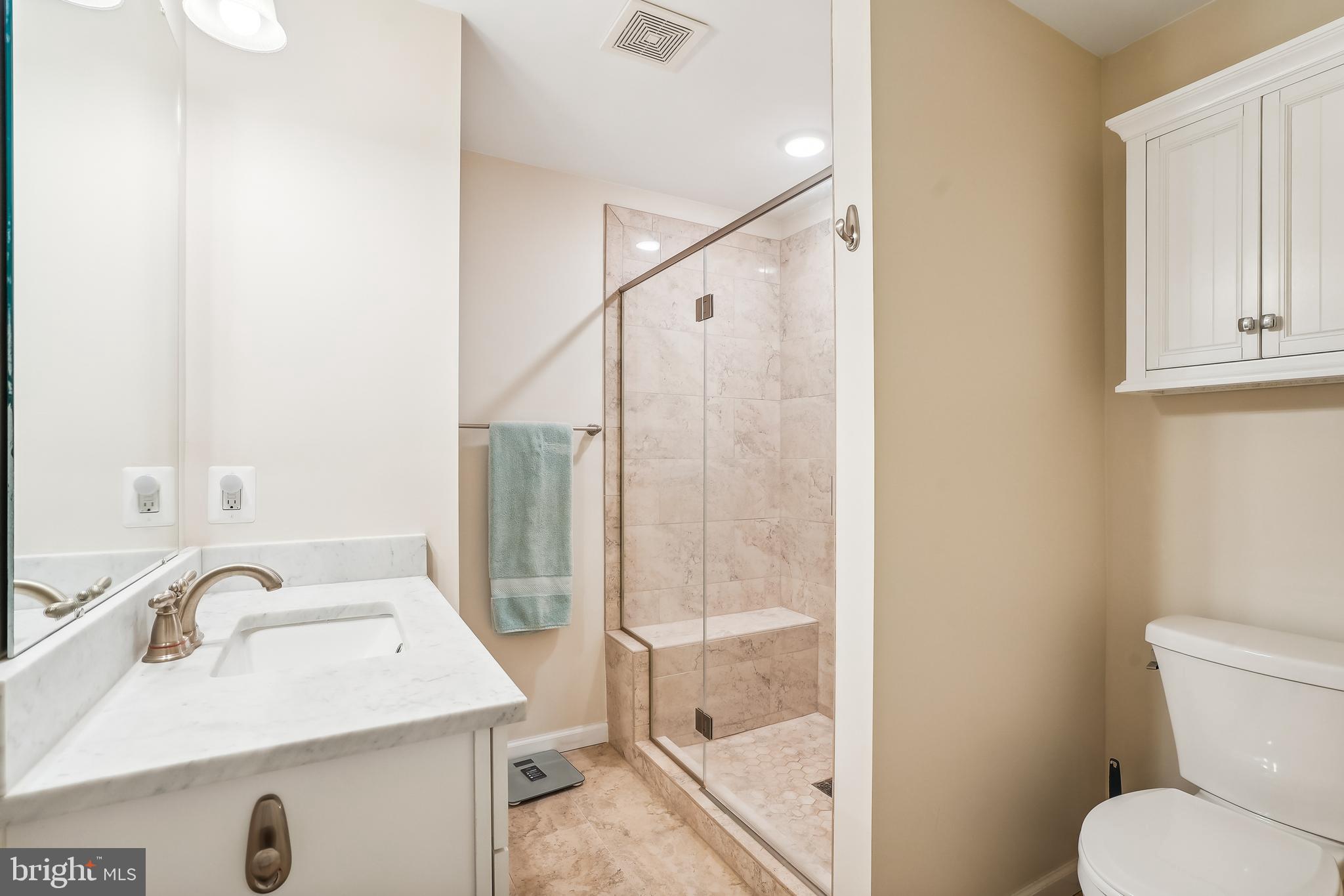 4490 Corral Road Warrenton, VA 20187 - Photo 39 of 58 Basement Full Bathroom