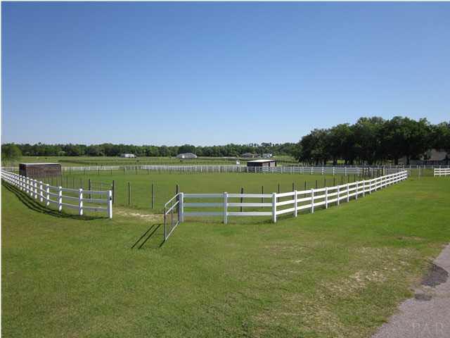 5170 Annie Ruth Street Milton, FL 32570 - Photo 24 of 24 View of Double Fenced Pasture