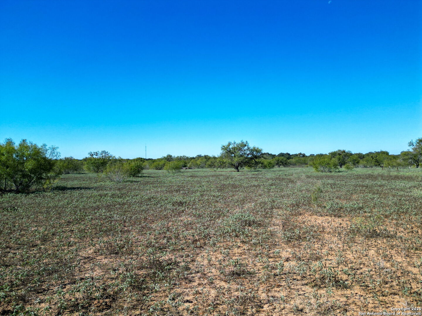2452 2nd Street Pleasanton, TX 78064 - Photo 7 of 15 a view of mountain with lake view