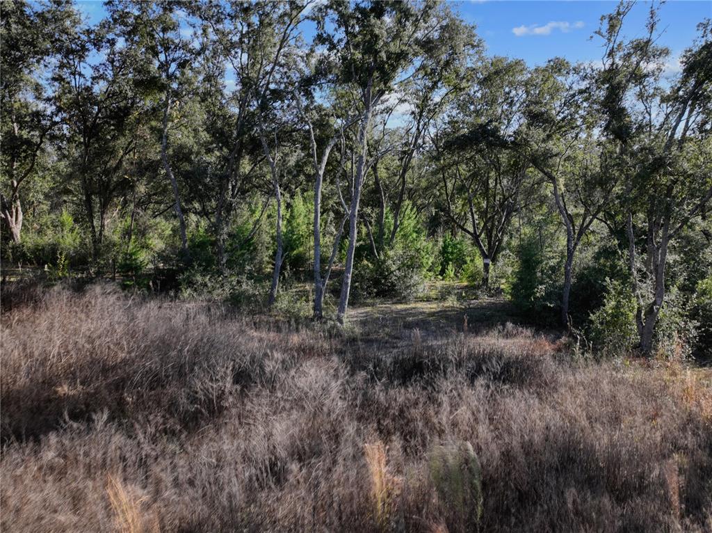 Undisclosed Address Bronson, FL 32621 - Photo 5 of 11 a view of outdoor space and yard
