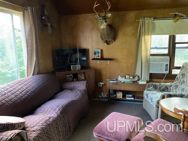 0 Co Rd Square Felch, MI 49831 - Photo 12 of 21