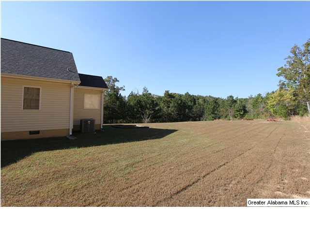 46 Stone Ridge Trail Anniston, AL 36207 - Photo 30 of 32