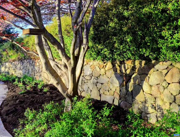 a view of statue in a garden