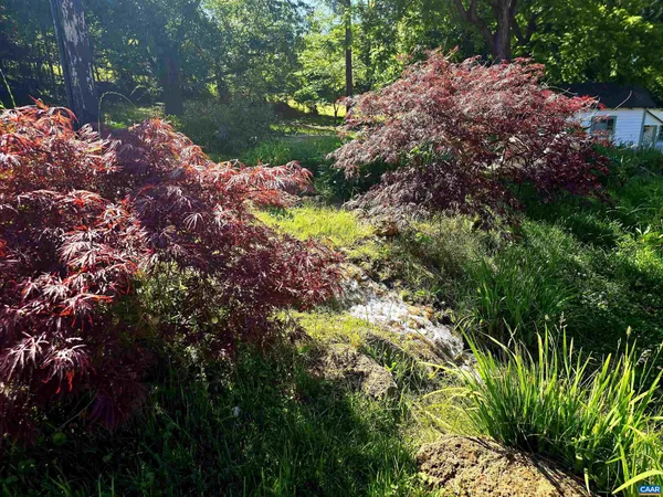 a view of a garden with plants