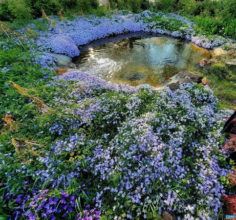 a view of a lake with top of house