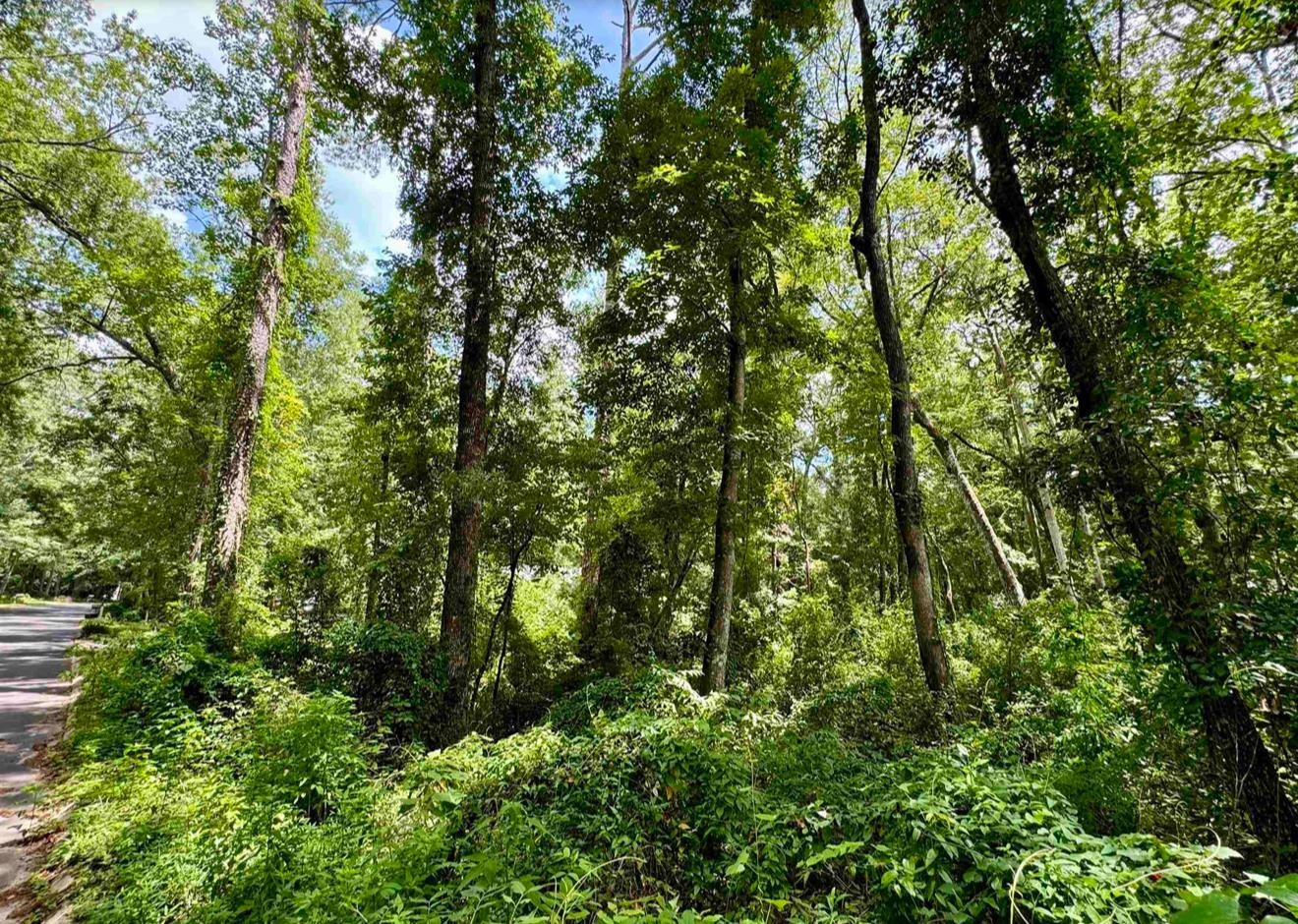 7746 Briarcreek Road North Tallahassee, FL 32312 - Photo 6 of 13