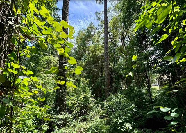 $75,000 | 7746 Briarcreek Road North, Tallahassee, FL 32312