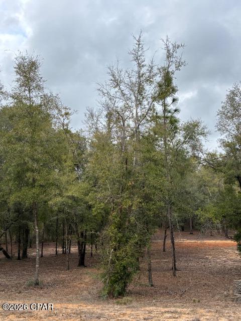 2816 Territory Road Chipley, FL 32428 - Photo 8 of 13