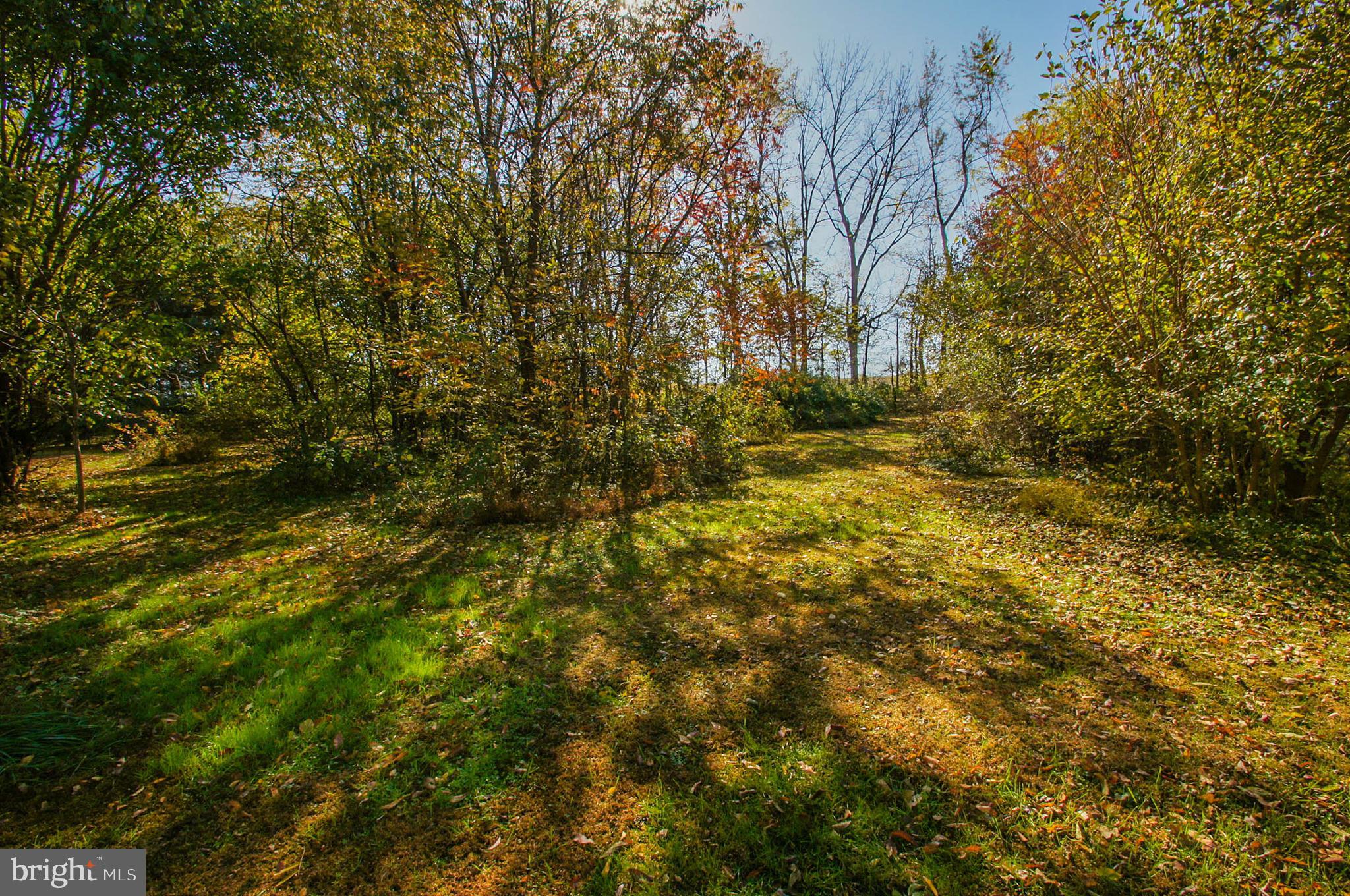 134 Station Road Bernville, PA 19506 - Photo 8 of 54 Gallery Image 8