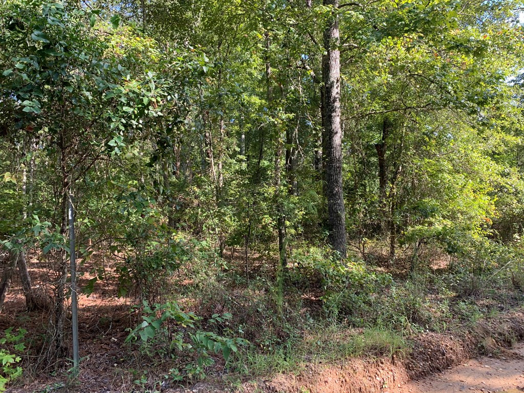1050 Wilson Road Warrenton, GA 30828 - Photo 5 of 9 Gallery Image 5