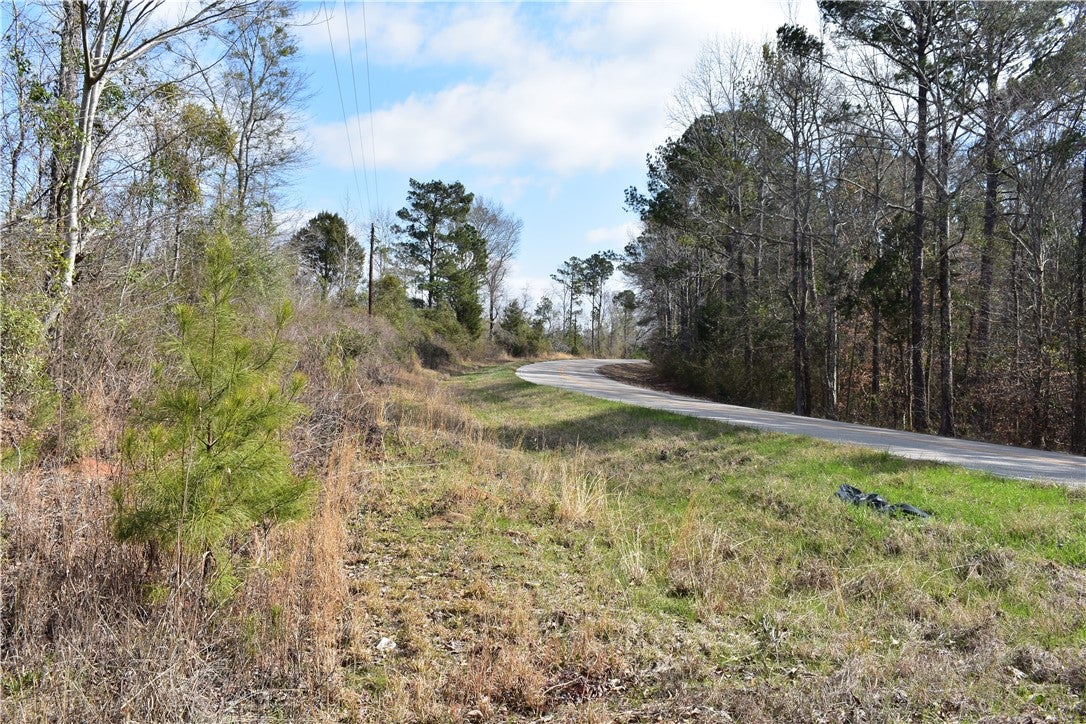 0 Double Bridge Ferry Road Eclectic, AL 36024 - Photo 2 of 11 Gallery Image 2