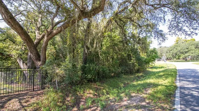 a view of backyard with green space