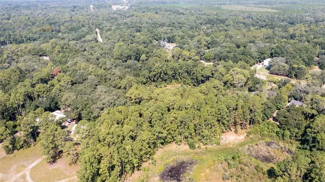 a view of a forest with a houses