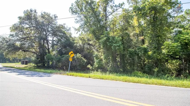 a view of a park with large trees