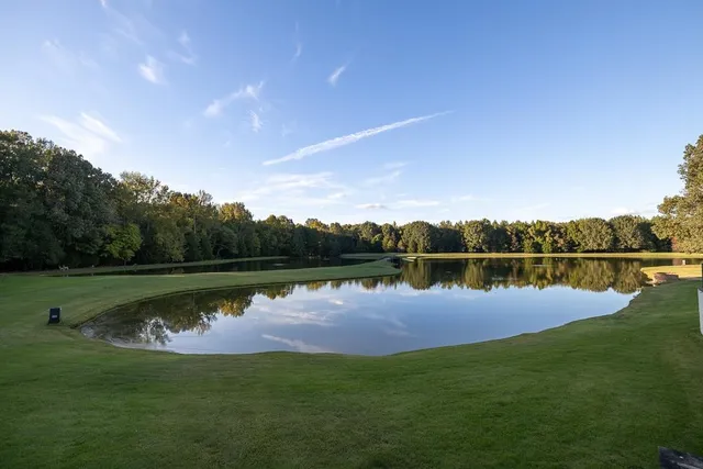 a view of a swimming pool with a lounge chair