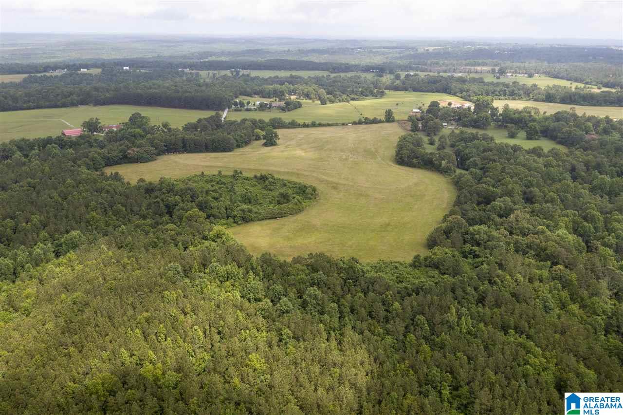 0 County Road 368 Verbena, AL 36091 - Photo 11 of 13