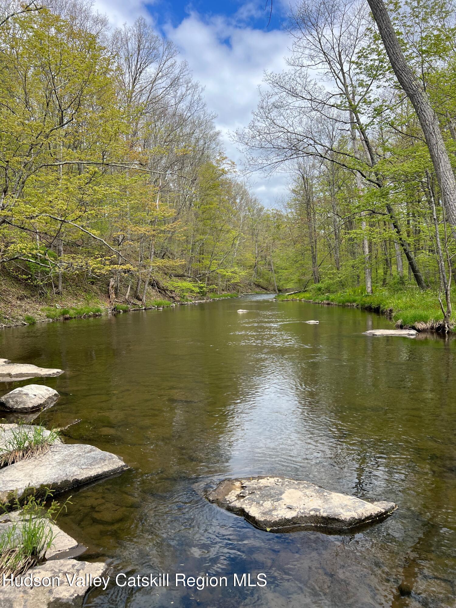 0 Rudolph Weir Jr Road Earlton, NY 12058 - Photo 1 of 12 a view of a lake with a yard