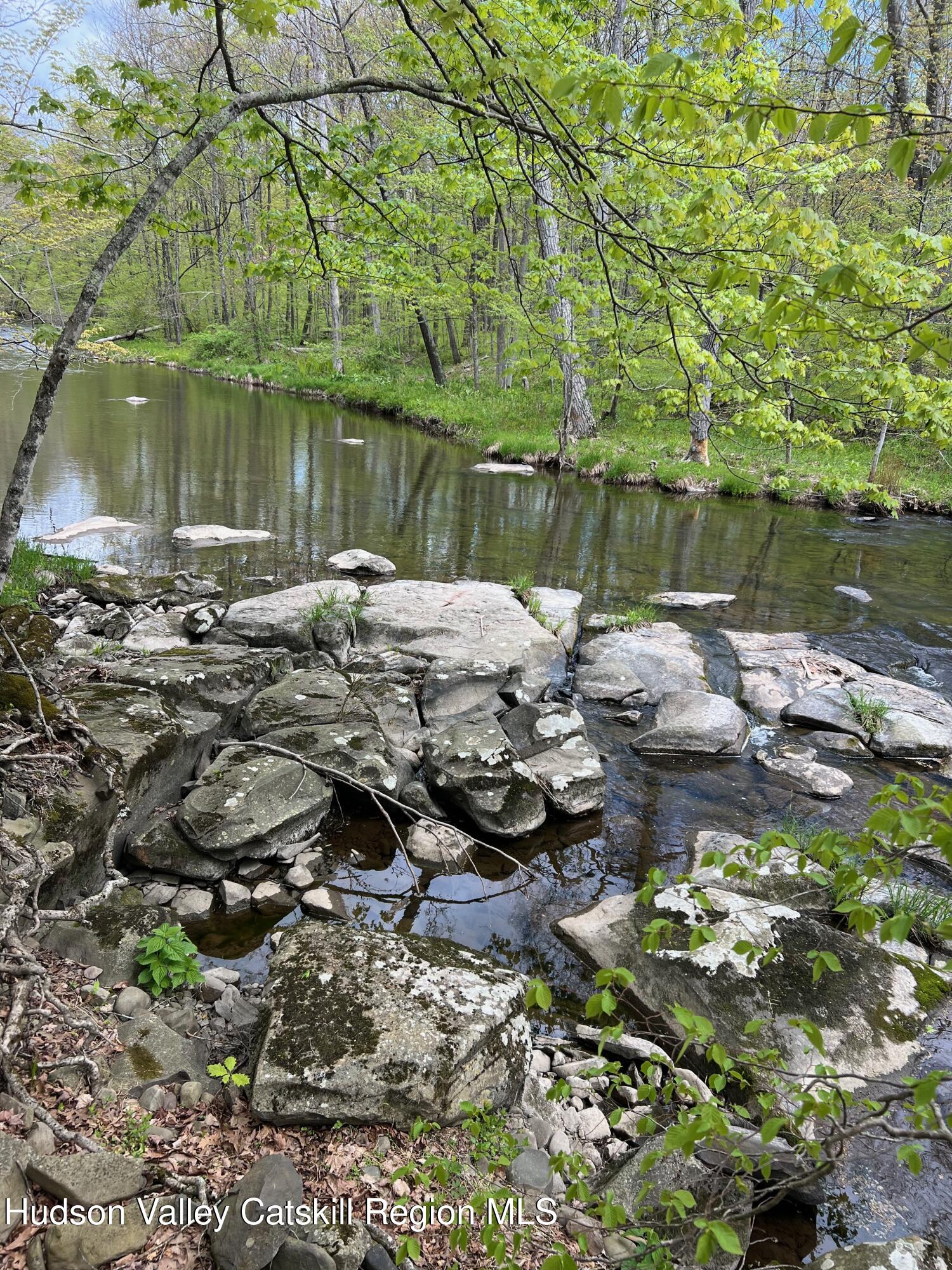 0 Rudolph Weir Jr Road Earlton, NY 12058 - Photo 5 of 12