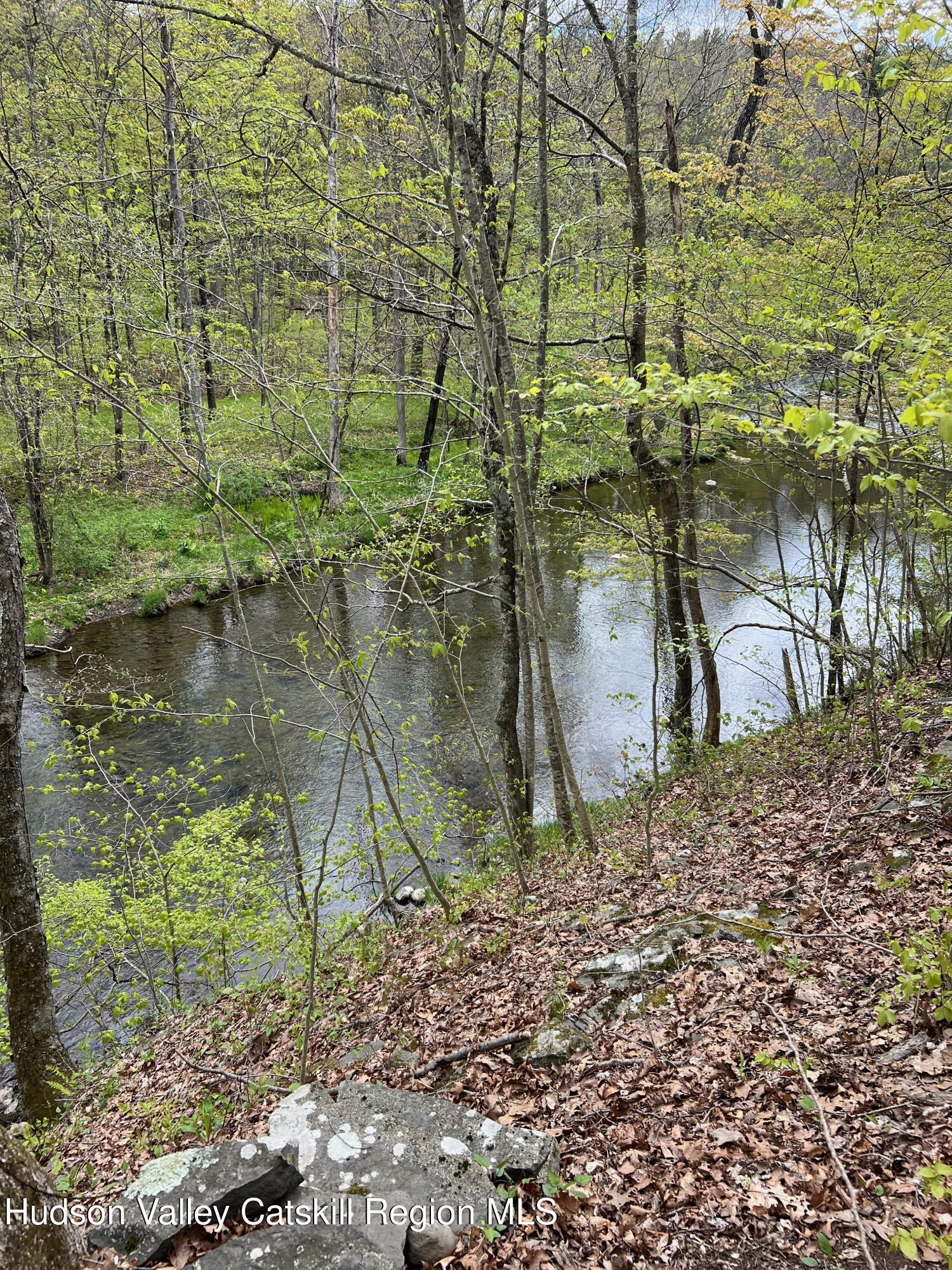 0 Rudolph Weir Jr Road Earlton, NY 12058 - Photo 6 of 12 a backyard of a house with lots of green space