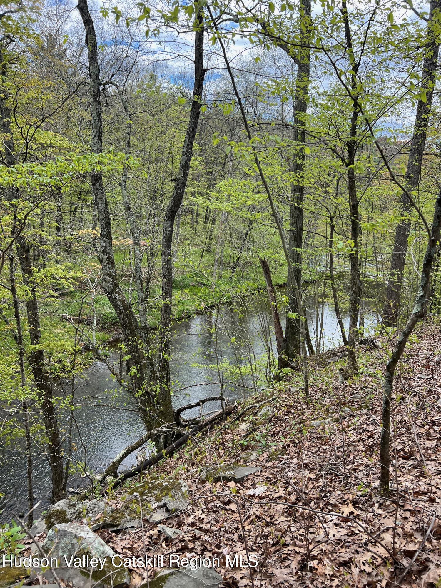 0 Rudolph Weir Jr Road Earlton, NY 12058 - Photo 7 of 12
