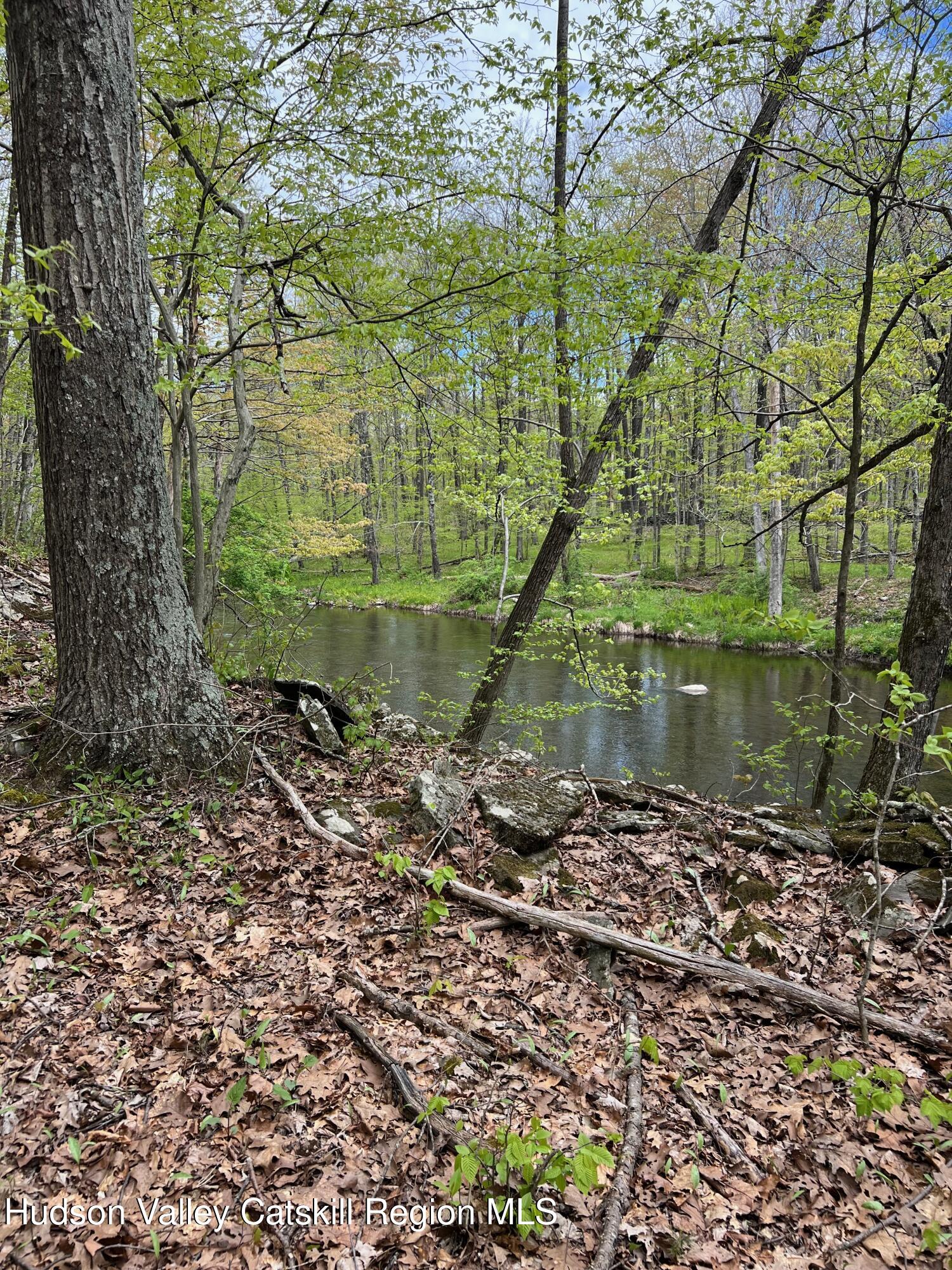 0 Rudolph Weir Jr Road Earlton, NY 12058 - Photo 8 of 12 a lake view with a yard