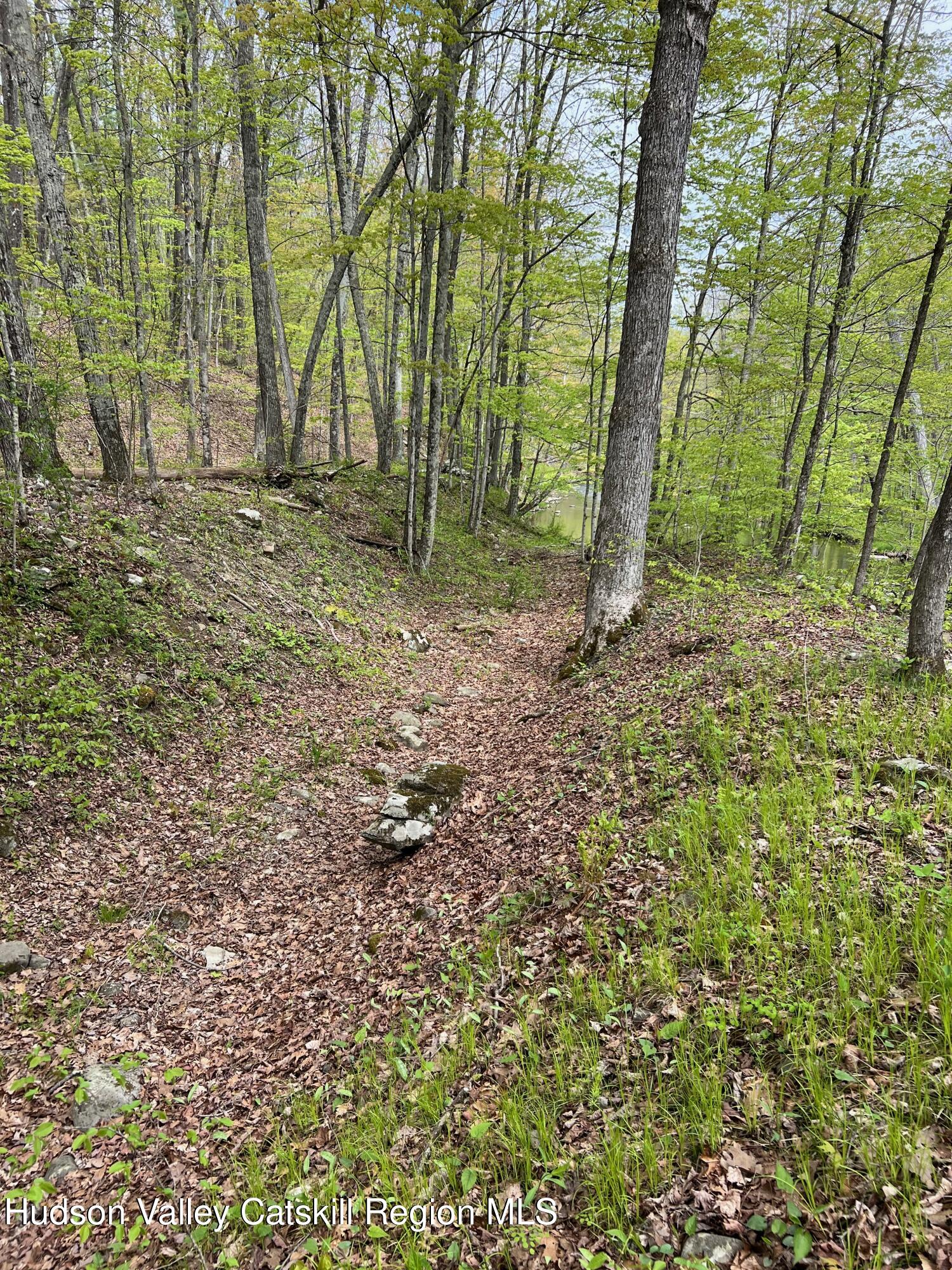 0 Rudolph Weir Jr Road Earlton, NY 12058 - Photo 9 of 12 a backyard of a house with lots of green space