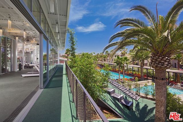 a view of multiple palm trees