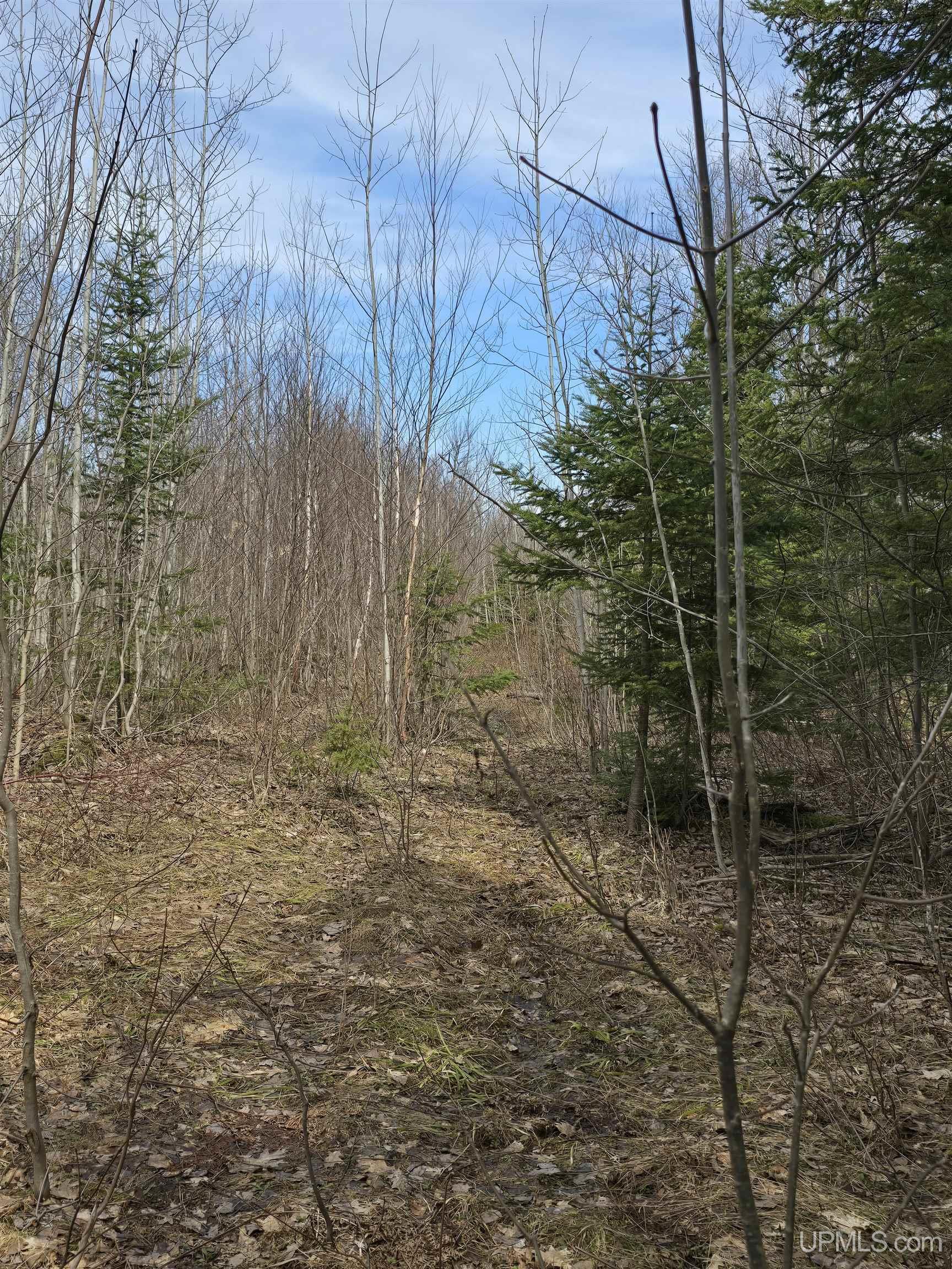Tbd Woodspur Road Ontonagon, MI 49953 - Photo 45 of 46