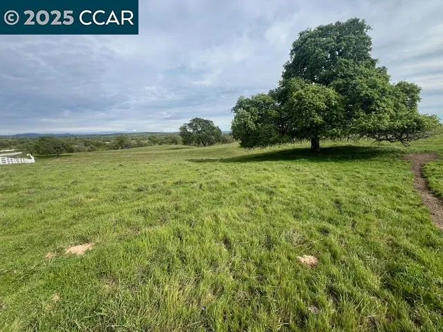a view of a field with an trees