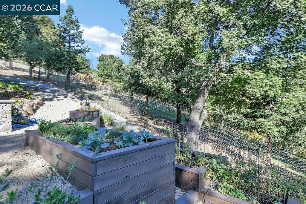 1751 Reliez Valley Road Lafayette, CA 94549 - Photo 33 of 60