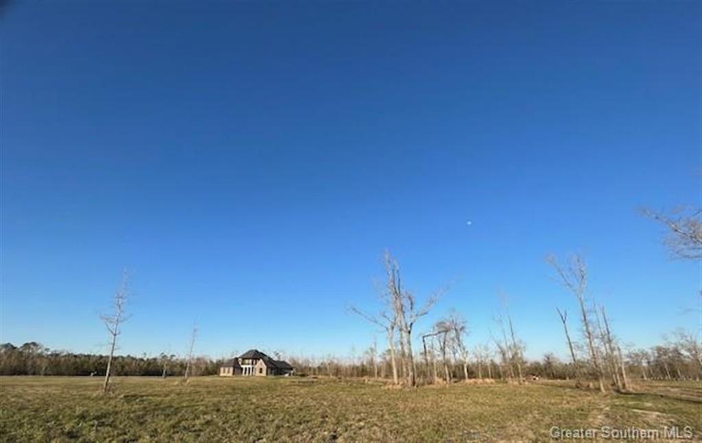 0 Pujol Road Lake Charles, LA 70615 - Photo 3 of 4 Gallery Image 3