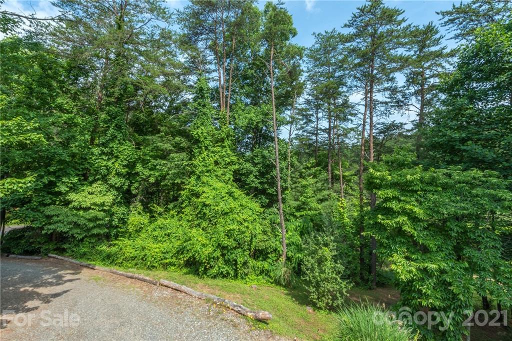 3 Higgins Road Weaverville, NC 28787 - Photo 40 of 45 Gallery Image 40