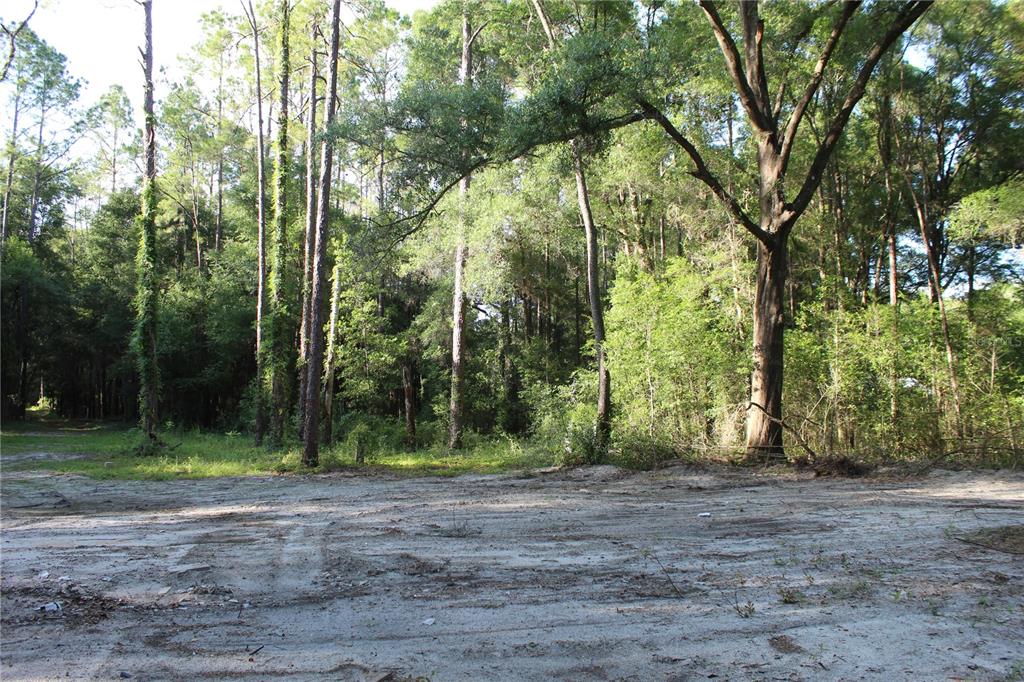 15821 Redbird Road Archer, FL 32618 - Photo 10 of 22